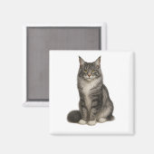 Maine Coon Black Silver Magnet (Vorderseite/Rückseite)