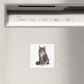 Maine Coon Black Silver Magnet (In Situ (Geschirrspüler))