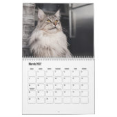 Maine Coon Calendar Kalender (Mär 2027)