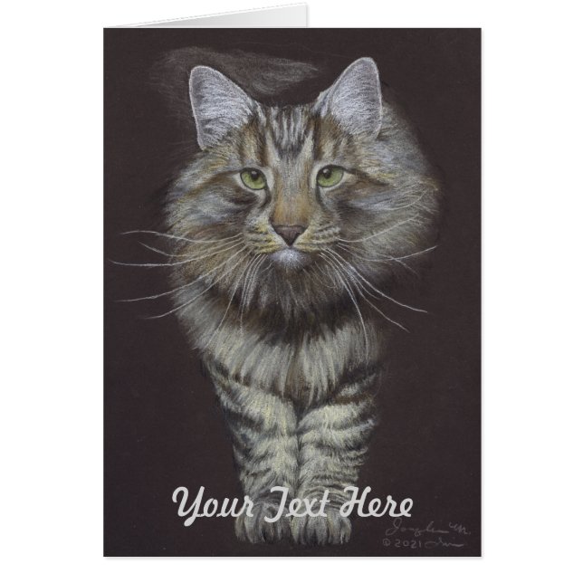Maine Coon Cat (Vorne)