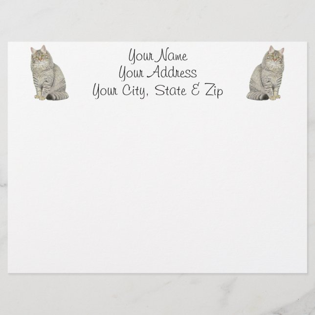 Maine Coon Cat (Vorderseite)