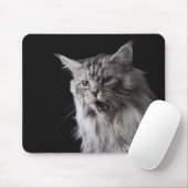 Maine Coon Cat 2 Mousepad (Mit Mouse)