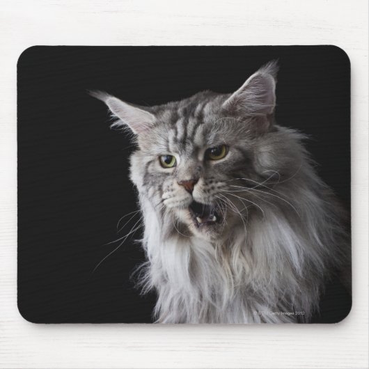 Maine Coon Cat 2 Mousepad (Vorne)