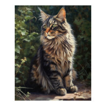 Maine Coon Cat Art Print Poster