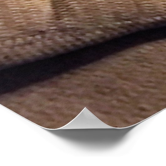 Maine Coon Cat auf Sofa Poster (Ecke)