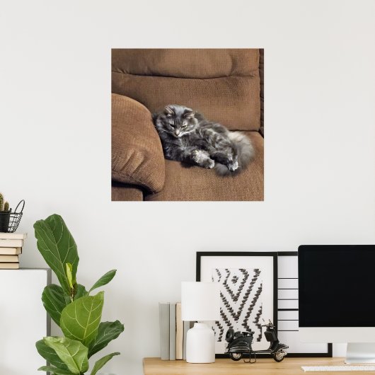 Maine Coon Cat auf Sofa Poster (Heimbüro)