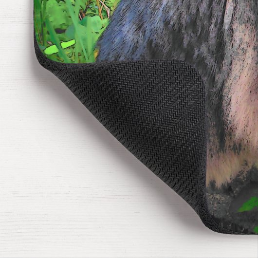 Maine Coon Cat auf Steinen Mousepad (Ecke)