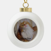 Maine Coon cat Ball Ornament (Vorderseite)