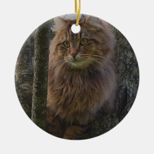 Maine Coon Cat - Baumkatze Keramikornament (Vorne)