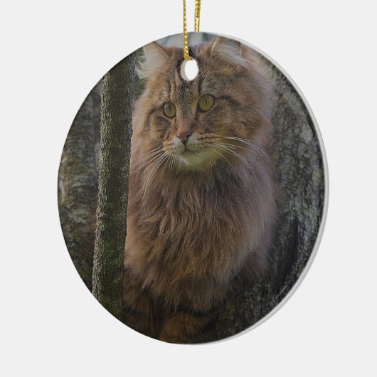 Maine Coon Cat - Baumkatze Keramikornament (Links)