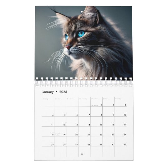 Maine Coon Cat Calendar Digital AI Paint Kalender (Jan 2026)