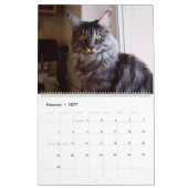 Maine Coon Cat Calendar Kalender (Feb 2027)
