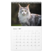 Maine Coon Cat Calendar Kalender (Jan 2027)