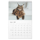 Maine Coon Cat Calendar Kalender (Mär 2027)