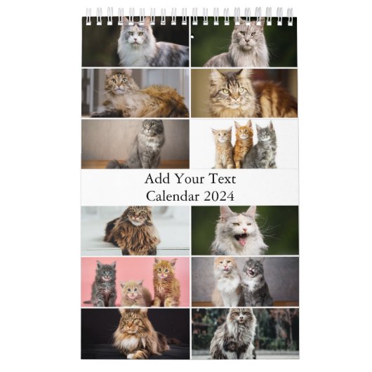 Maine Coon Cat Calendar Kalender (Titelbild)
