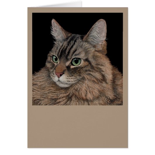 Maine Coon Cat Card (Vorne)