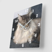 Maine Coon Cat Clock Quadratische Wanduhr (Winkel)