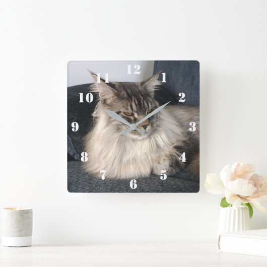Maine Coon Cat Clock Quadratische Wanduhr (Zuhause)