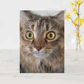 Maine Coon Cat Face Birthday Karte (Gelbe Blume)