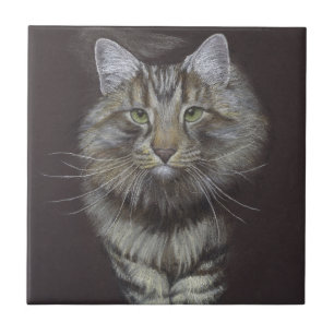 Maine Coon Cat Fliese
