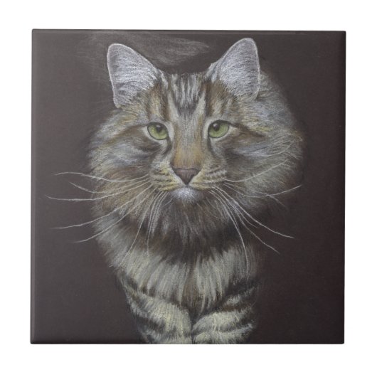 Maine Coon Cat Fliese (Vorderseite)