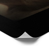 Maine Coon Cat Foto Poster (Ecke)