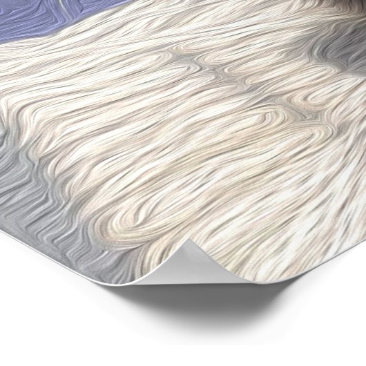 Maine Coon Cat Foto Poster (Ecke)