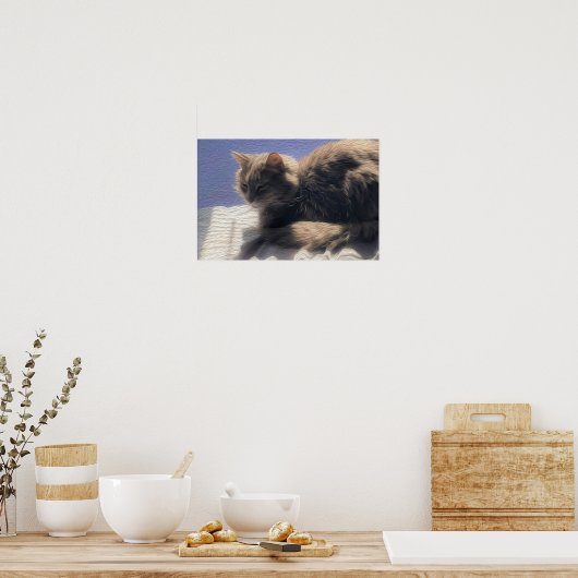 Maine Coon Cat Foto Poster (Küche)