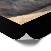 Maine Coon Cat Foto Poster (Ecke)