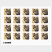Maine Coon Cat Foto Stickers (Blatt)