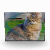 Maine Coon Cat Fotoblock (Vorderseite)