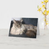 Maine Coon Cat Greetings Card Karte (Gelbe Blume)