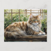 Maine Coon Cat im gemütlichen Innengarten Postkarte (Vorderseite)