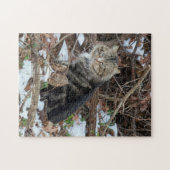 Maine Coon Cat in Forest Jigsaw Puzzle (Horizontal)
