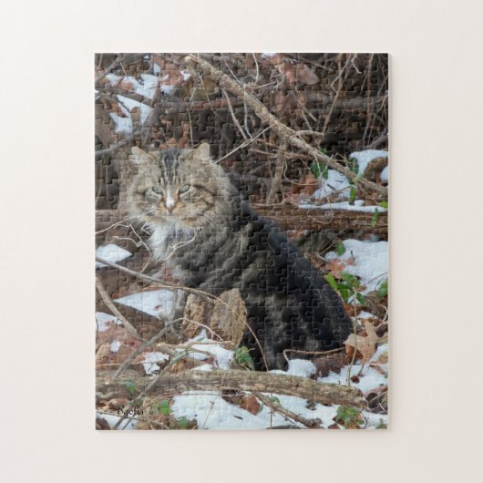 Maine Coon Cat in Forest Jigsaw Puzzle (Vertikal)