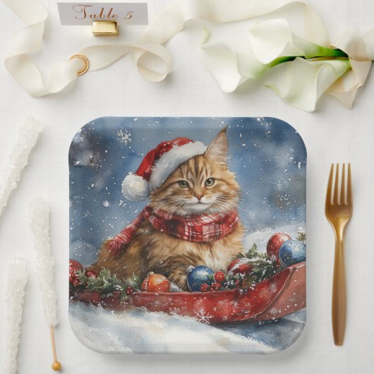 Maine Coon Cat in Sledge Let it Schnee Weihnachten Pappteller (Hochzeit)