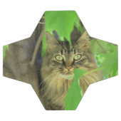 Maine Coon Cat in Tree Fußball (Flach)