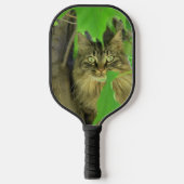 Maine Coon Cat in Tree Pickleball Schläger (Vorderseite)