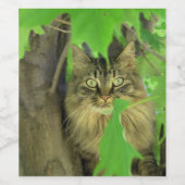 Maine Coon Cat in Tree Weinetikett (Einzelnes Label)