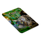Maine Coon Cat Inspiration Magnet (Rechte Seite)