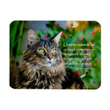 Maine Coon Cat Inspiration Magnet