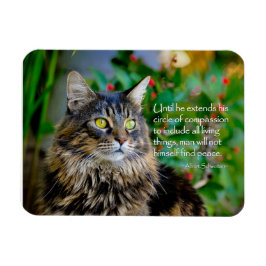 Maine Coon Cat Inspiration Magnet