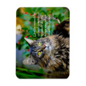 Maine Coon Cat Inspiration Magnet (Vertikal)