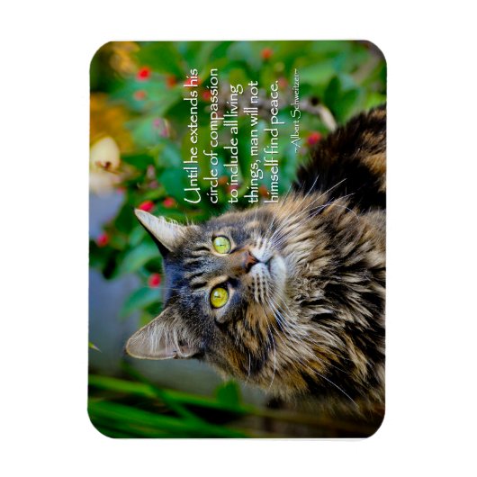Maine Coon Cat Inspiration Magnet (Vertikal)