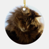 Maine Coon Cat Keramikornament (Vorne)
