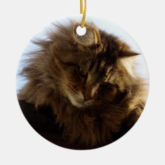 Maine Coon Cat Keramikornament (Vorne)