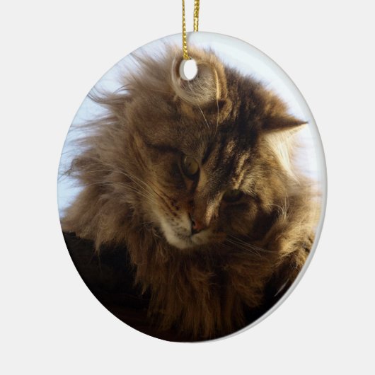 Maine Coon Cat Keramikornament (Links)