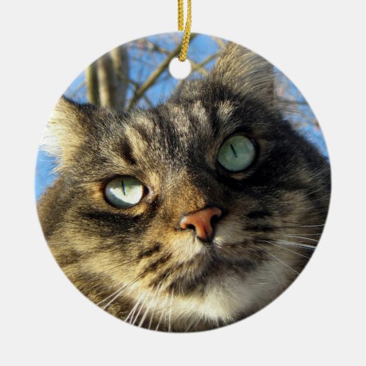 Maine Coon Cat Kitty Keramikornament (Vorne)