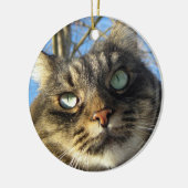 Maine Coon Cat Kitty Keramikornament (Links)