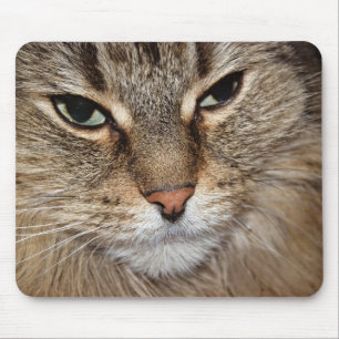 Maine Coon Cat Macro Mousepad